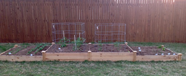 The view of my vegetable garden from the middle of my backyard, on April 1.